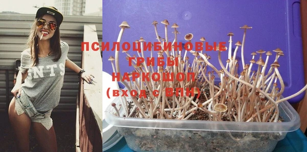 jwh Верхний Тагил
