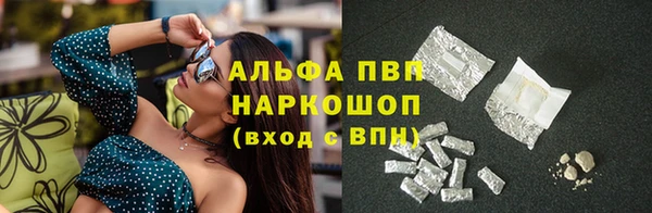 не бодяженный Бородино